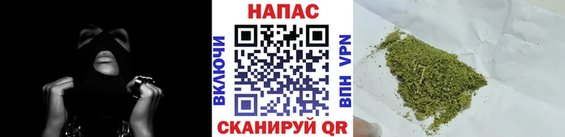 Где продают наркотики Тавда Псилоцибиновые грибы  Меф мяу мяу  ГАШ  COCAIN 