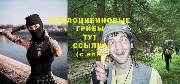 ешки Новозыбков