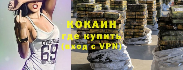 ешки Новозыбков